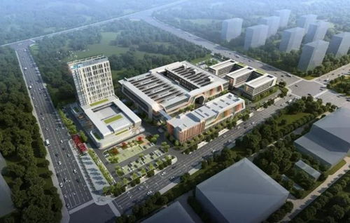 济南 全市一起讲好经济故事，央网关注高质量发展