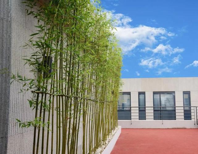振威展览北京新址落成 现代企业管理制度建设步入“快车道”